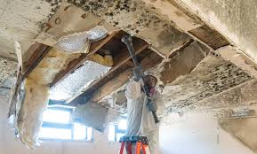 Mold Remediation for Vacation Homes in Islandia, NY